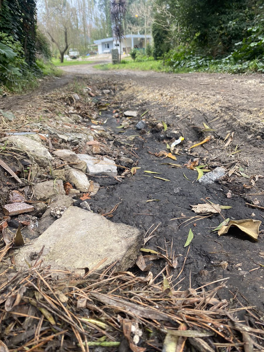 mendeskito's tweet photo. Así vivimos en el Bosque Peralta Ramos, con calles destruidas por donde es imposible circular. Se inundan, se embarran, los autos se encajan y rompen el tren delantero. Es indignante vivir así y que pese a los reclamos no haya solución @EmvialMGP @marianobowden @gmontenegro_ok https://t.co/0Vkp1BxewA