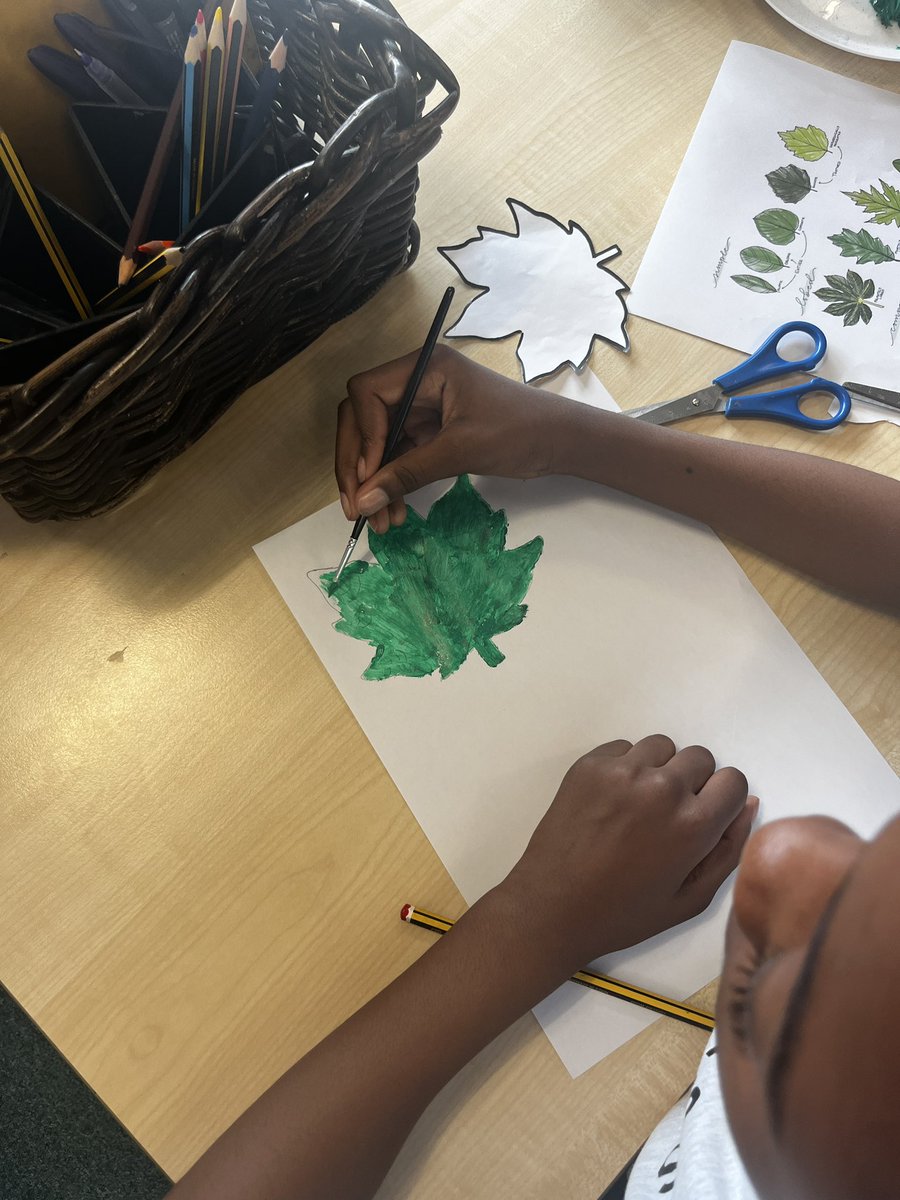 FoxfldPalm1's tweet photo. Our mandrakes have leaves! 🍃🍂🌱🍁🌿After a fun filled Arts Fortnight, we are very nearly finished and ready to display our work! @foxfield @IPAT_Edu https://t.co/VM17hsyq70