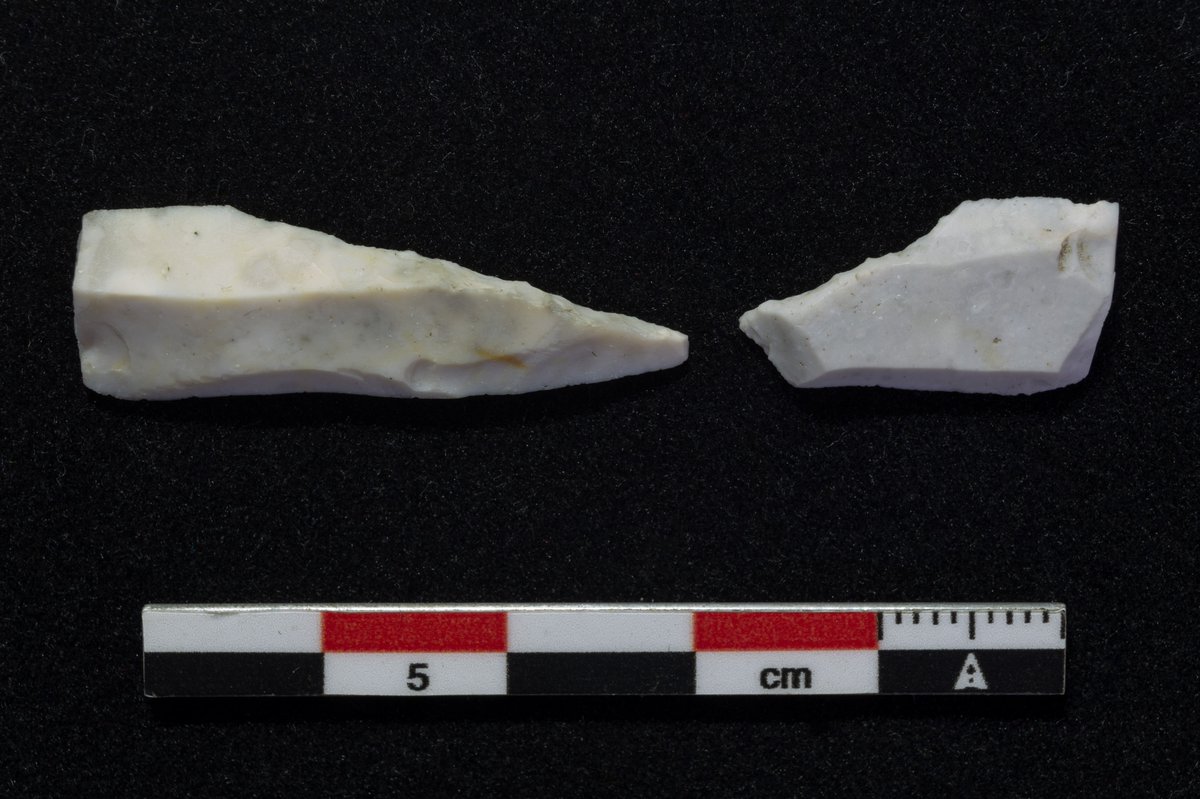 #FindsFriday - our #PeatlandRestoration work unearthed these tiny flints on Mickle Fell. They are thought to be Mesolithic and most likely from people hunting in the area northpennines.org.uk/a-needle-in-a-… #archaeology #PeatlandsMatter #NorthPenninesAONB