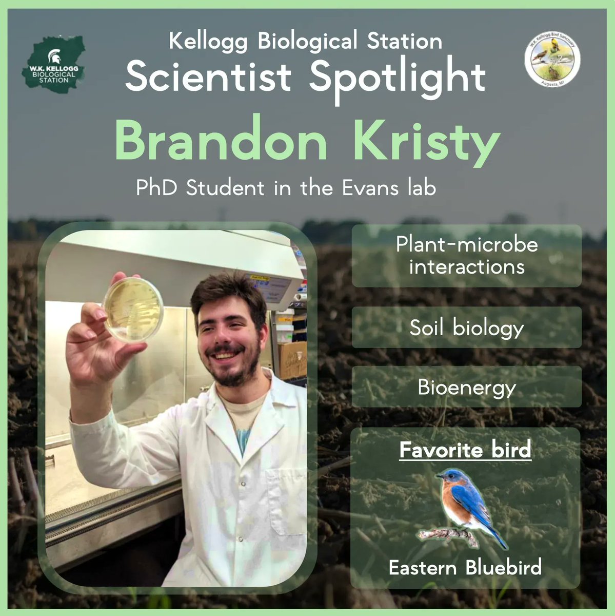 KelloggBirdSanc's tweet image. Meet Brandon, a PhD student at #MSUKBS! 👋 🦠 @bd_kristy studies how microbes in soil interact with each other &amp;amp; with plants to help them grow. Here, Brandon holds a petri dish with some special bacteria. They are able to transform nitrogen from the air &amp;amp; release it into  soil!