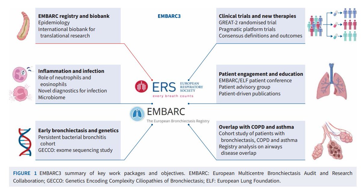 donsin4's tweet image. One of the most successful global network launched by #ERS Clinical Research Collaboration, #EMBARC now embarks on its 3rd phase to radically transform the lives of people living with #bronchiectasis through exceptional research. 
bit.ly/42n3HD8