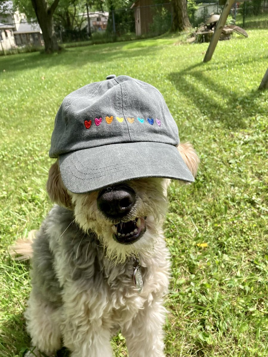KDush11's tweet photo. @dog_rates Max didn’t make it to celebrate his 16th pride month, but he sure loved love more than anything ❤️💛💚💙 https://t.co/ekhqGg9g2E