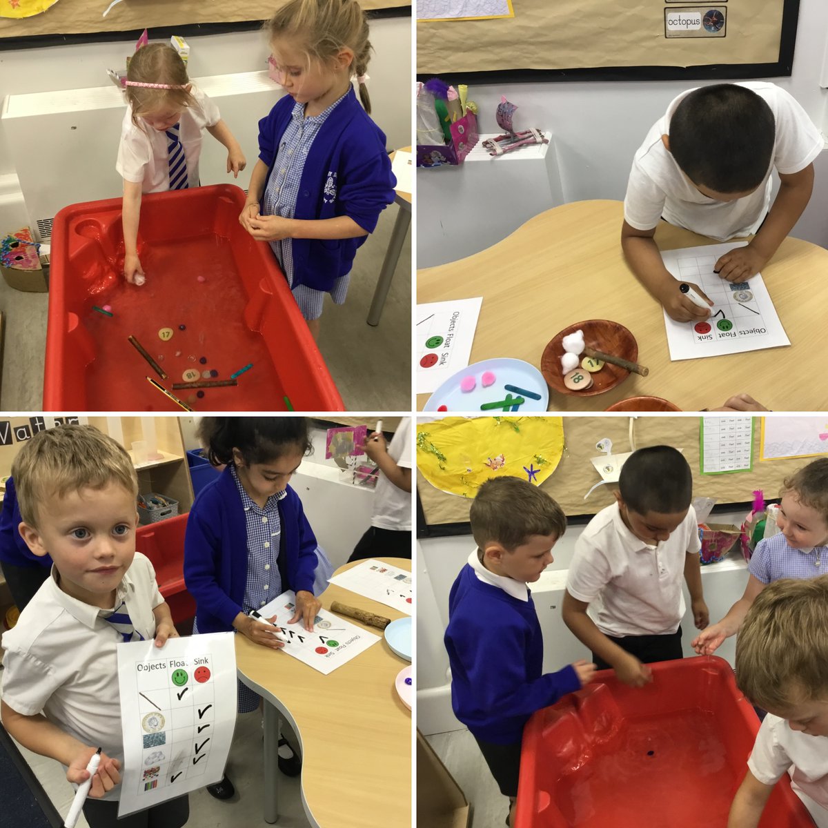 EYFSsunnybank's tweet photo. Today Reception have been making predictions on floating and sinking objects 🌊🛥️⚓️ @sunnybankschool #Floatingandsinking #Reception #Learningisfun https://t.co/w5mns6VmMV