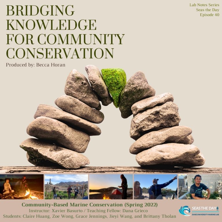 Proud is an understatement! A truly fantastic pod from students in Community-Based Marine Conservation - Gulf of California 2022 by <a href="/zoetwong/">Zoe Wong</a>,<a href="/BrittanyTholan/">Brittany Tholan</a>, Jieyi Wang, Claire Huang, &amp; Grace Jennings!!! 

BIG TY to <a href="/RHoran_Marine/">Rebecca Horan</a> for production 
&amp; of course <a href="/coastscommons/">Coasts and Commons Colab</a>!