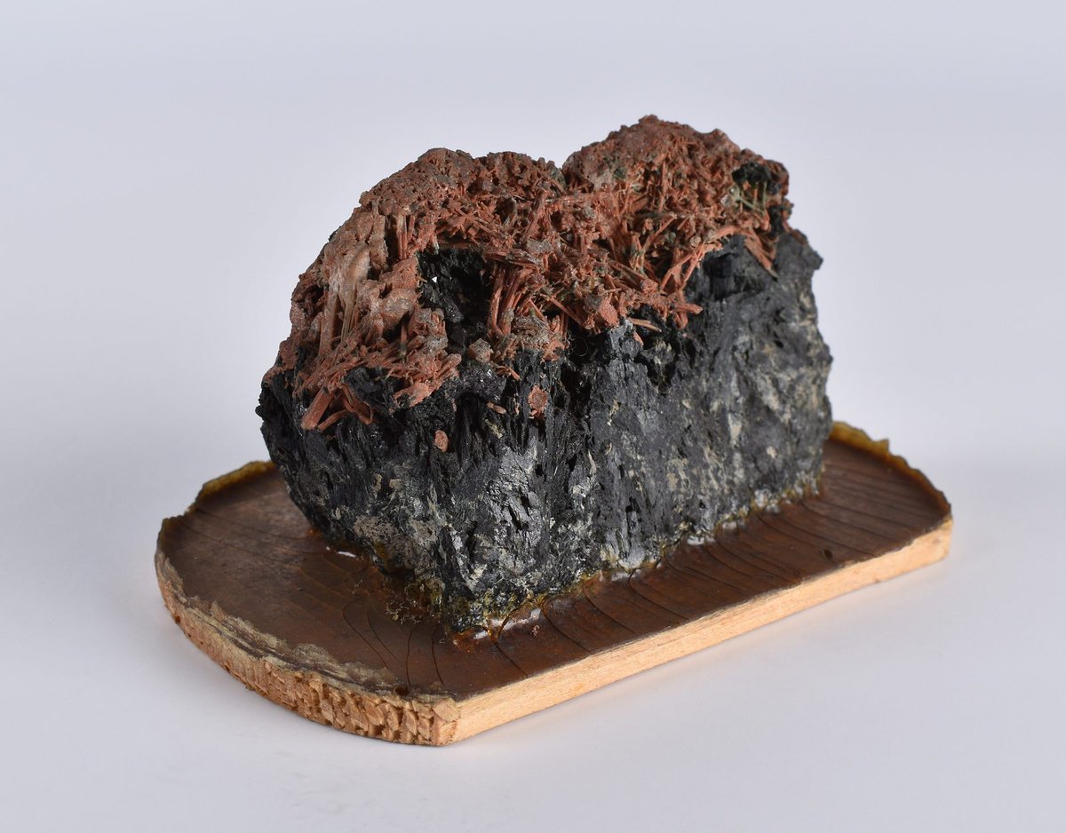 Goethe_Rocks tweet media