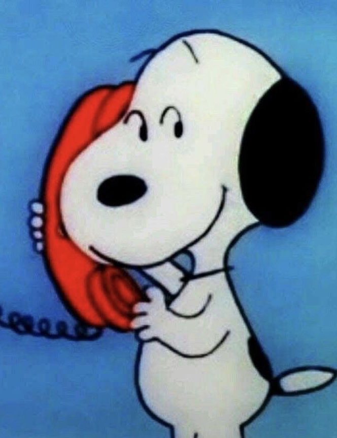 clairosnoopy's tweet photo. hello?

@clairo https://t.co/8VzNpSPA0q