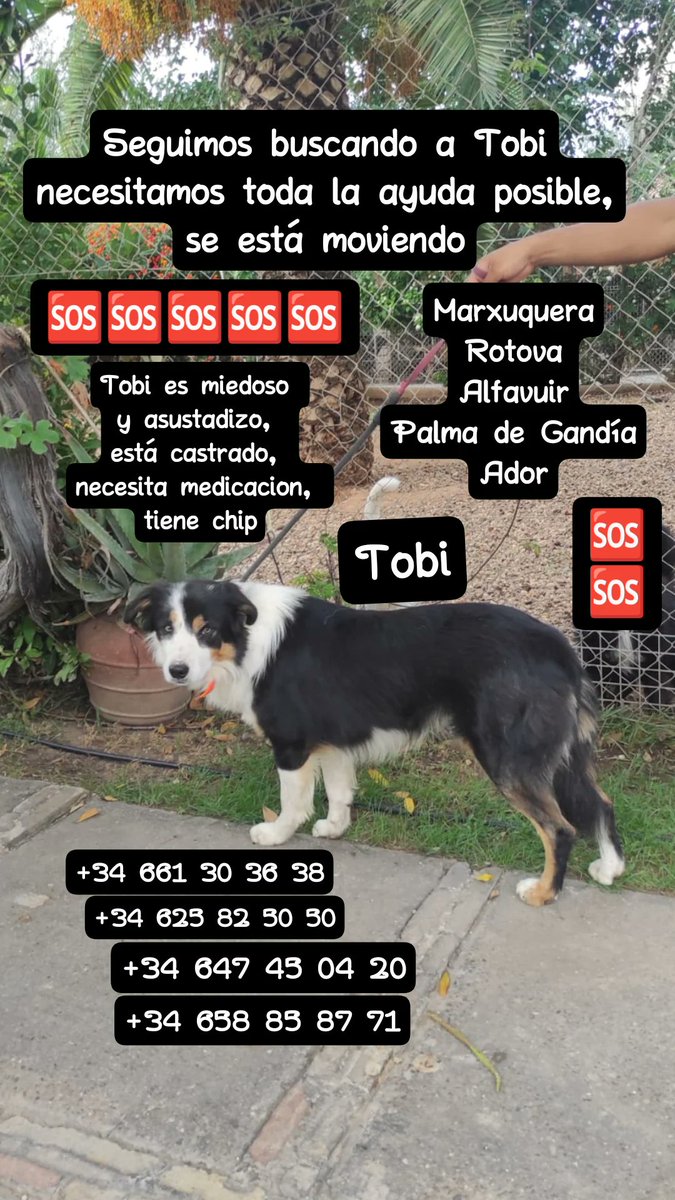 Borders Sin Fronteras tweet media