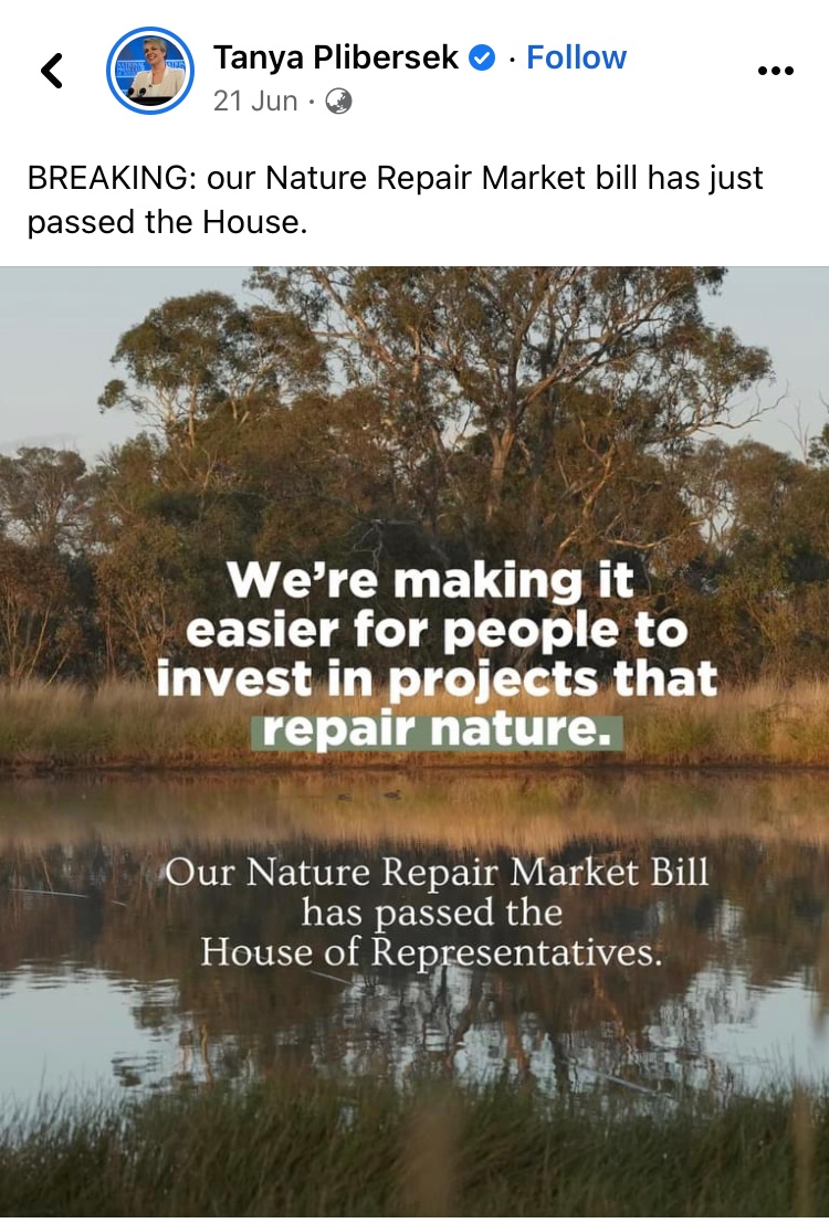 timhollo.bsky.social tweet media