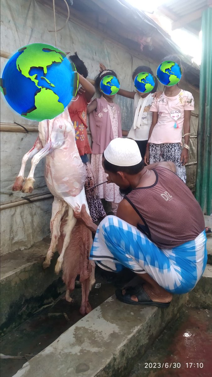 AhmetCmk's tweet photo. Bangladeş'te bir kurban kesimine vesile olduk, ne mutlu.🙏 https://t.co/tNmDQJqcC3
