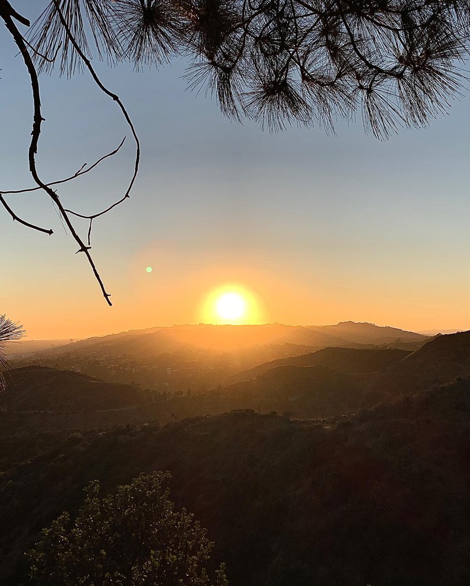 Morning! Keep working hard and pursue your dreams! Believe in your strength, no matter how big the challenge. Today, commit to fight for yourself and victory awaits you. Go for it! 💪 #struggle #dream pursuit