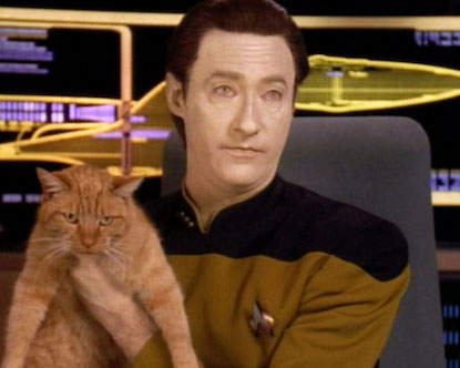 astrobiology's tweet image. Got a cat? You may have a Tricorder too.

"Tricorder Tech: House Cats’ Noses May Function Like A Parallel Coiled Gas Chromatograph"
astrobiology.com/2023/06/tricor… #Astrobiology #StarTrek #StarTrekStrangeNewWorlds #Chemistry #cats