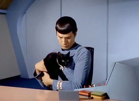 astrobiology's tweet image. Got a cat? You may have a Tricorder too.

"Tricorder Tech: House Cats’ Noses May Function Like A Parallel Coiled Gas Chromatograph"
astrobiology.com/2023/06/tricor… #Astrobiology #StarTrek #StarTrekStrangeNewWorlds #Chemistry #cats