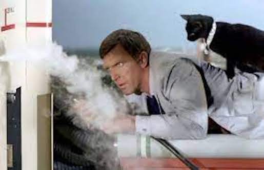 astrobiology's tweet image. Got a cat? You may have a Tricorder too.

"Tricorder Tech: House Cats’ Noses May Function Like A Parallel Coiled Gas Chromatograph"
astrobiology.com/2023/06/tricor… #Astrobiology #StarTrek #StarTrekStrangeNewWorlds #Chemistry #cats