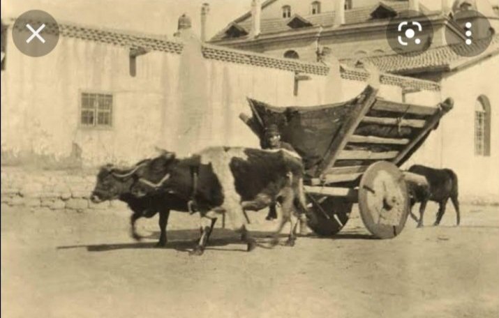 Öküz  yolda giderken kağnı tekeri gicirdiyomus  kagniya dönmüş demişki  ulan yükü çeken Bn yorulan Bn inleyen sen. Bütün sorumluluğu akan memur parayı alan taseron
#CBMemurunTalebi
