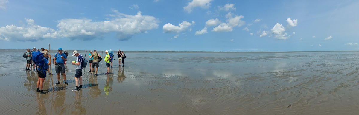 Wat is de #Waddenzee toch een mooi gebied. Vandaag van Holwert naar #ameland gelopen.
#UNESCO #werelderfgoed