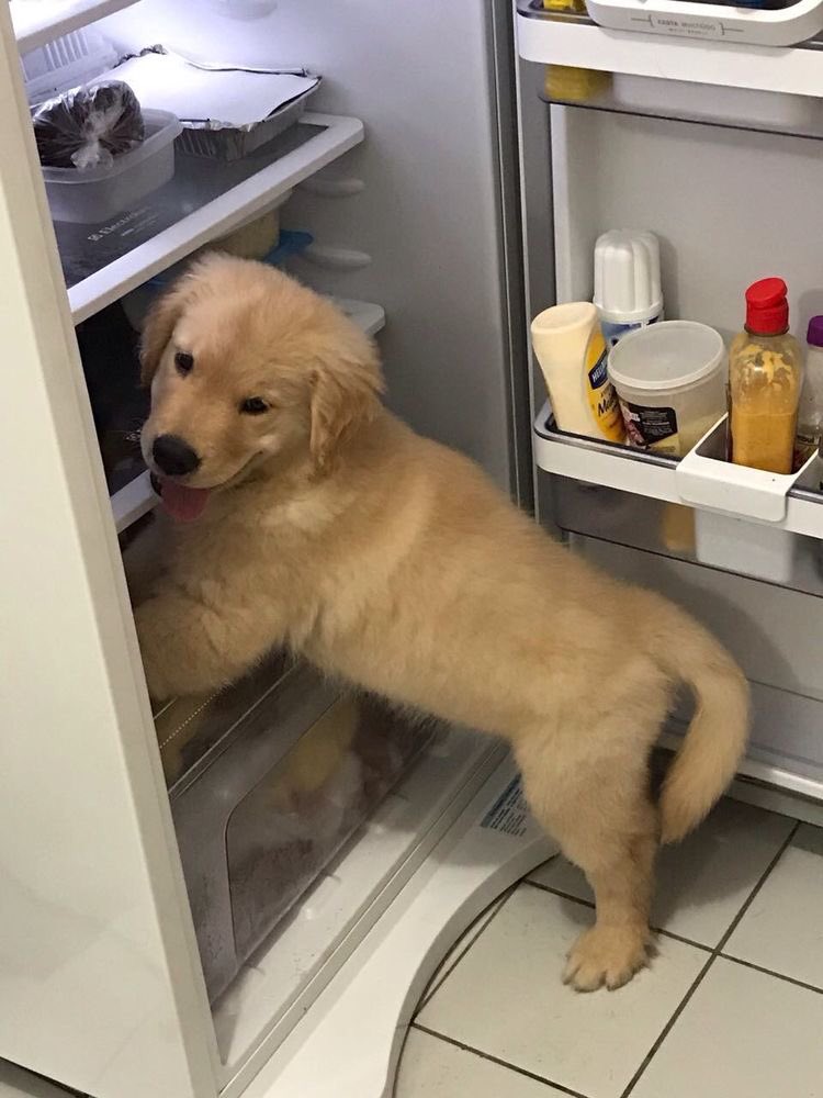 takemybear's tweet image. สงสัยเดินละเมอ โอ้ย มะรุตัวเลย นี่ตุ้เยนเหรอ