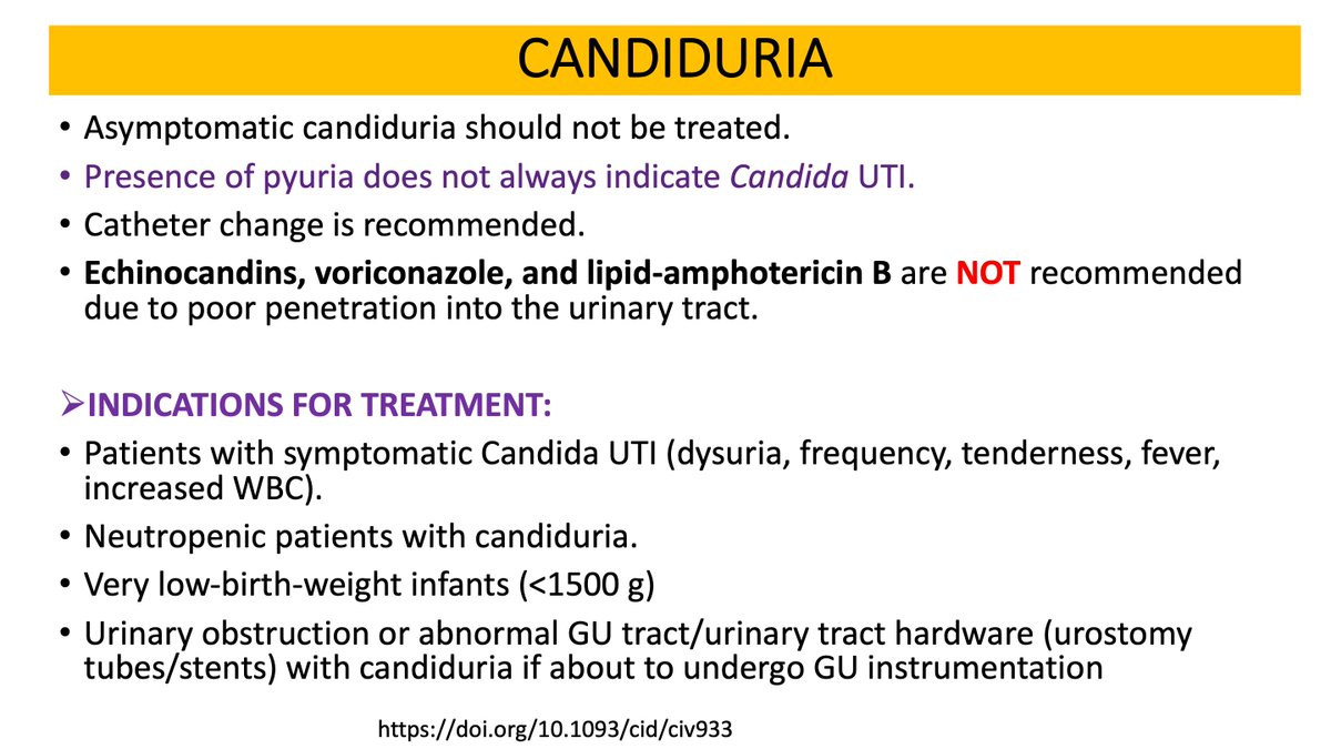 #IDtwitter
How Do I Interpret Candida In The Urine?
