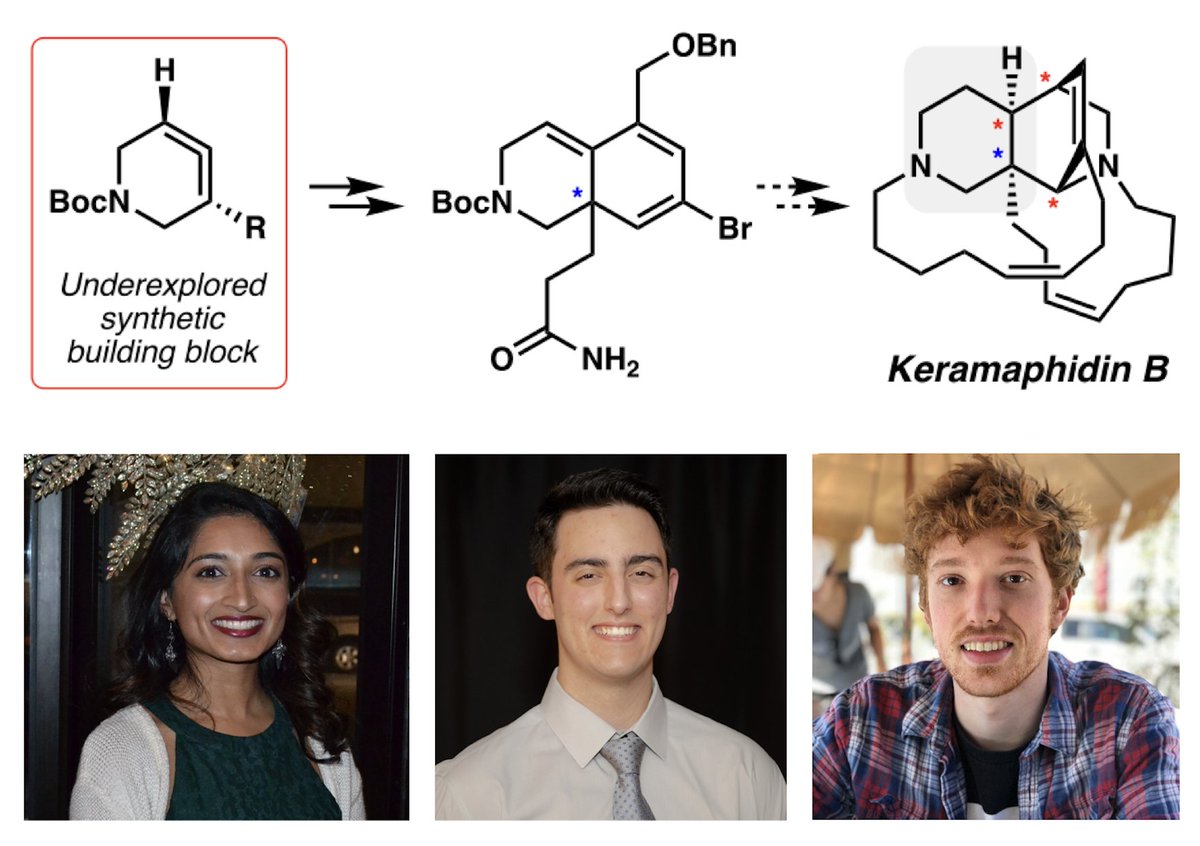 We are excited to share some of our efforts toward the total synthesis of keramaphidin B using a strained cyclic allene! Congrats to Milauni, Jordan, and Logan, better known as “Team Kemit”!
pubs.acs.org/doi/10.1021/ac… <a href="/Milaunii/">Milauni</a> <a href="/Lbachchem/">James Bachman</a> <a href="/uclachem/">UCLA Chem & Biochem</a>