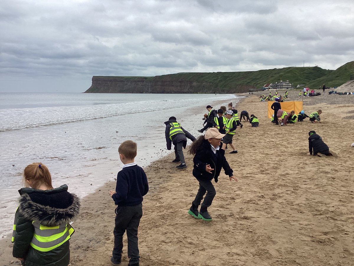 TempleLearningAcademy tweet media