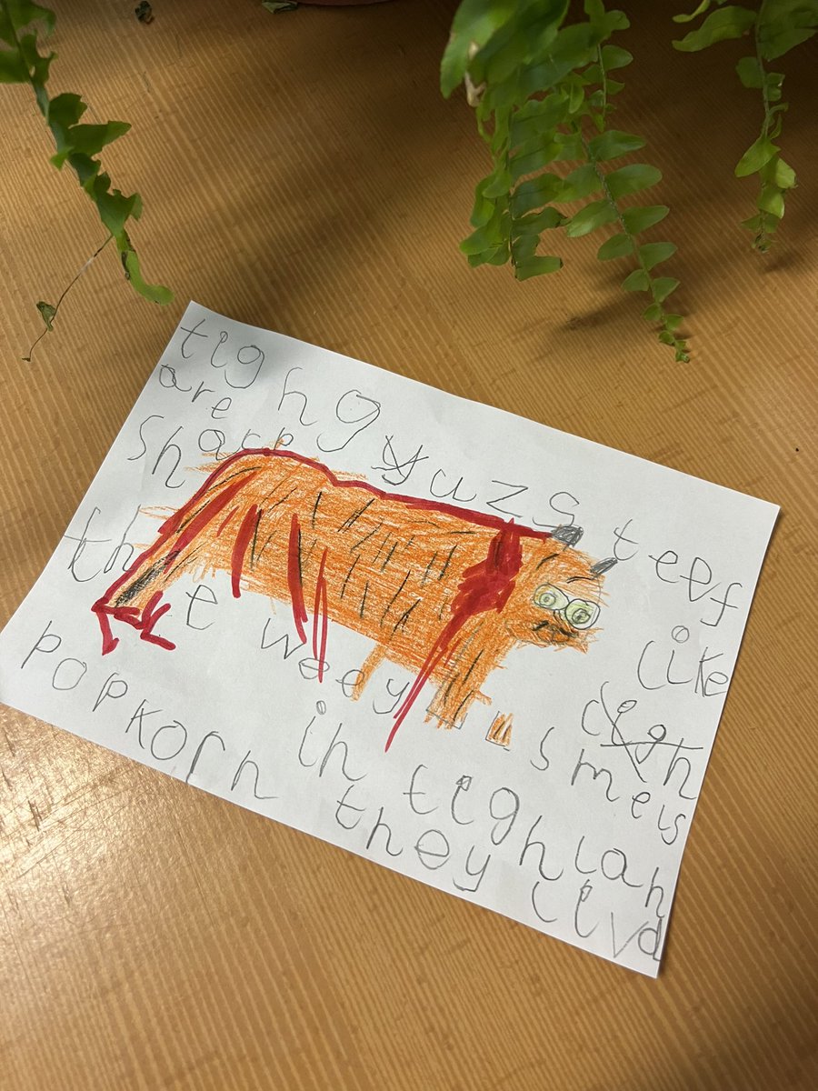 sbps_ducklings's tweet photo. Where do tigers live? 🐅 #sbpsGeog #EYFS https://t.co/YjgRsW6Vk6