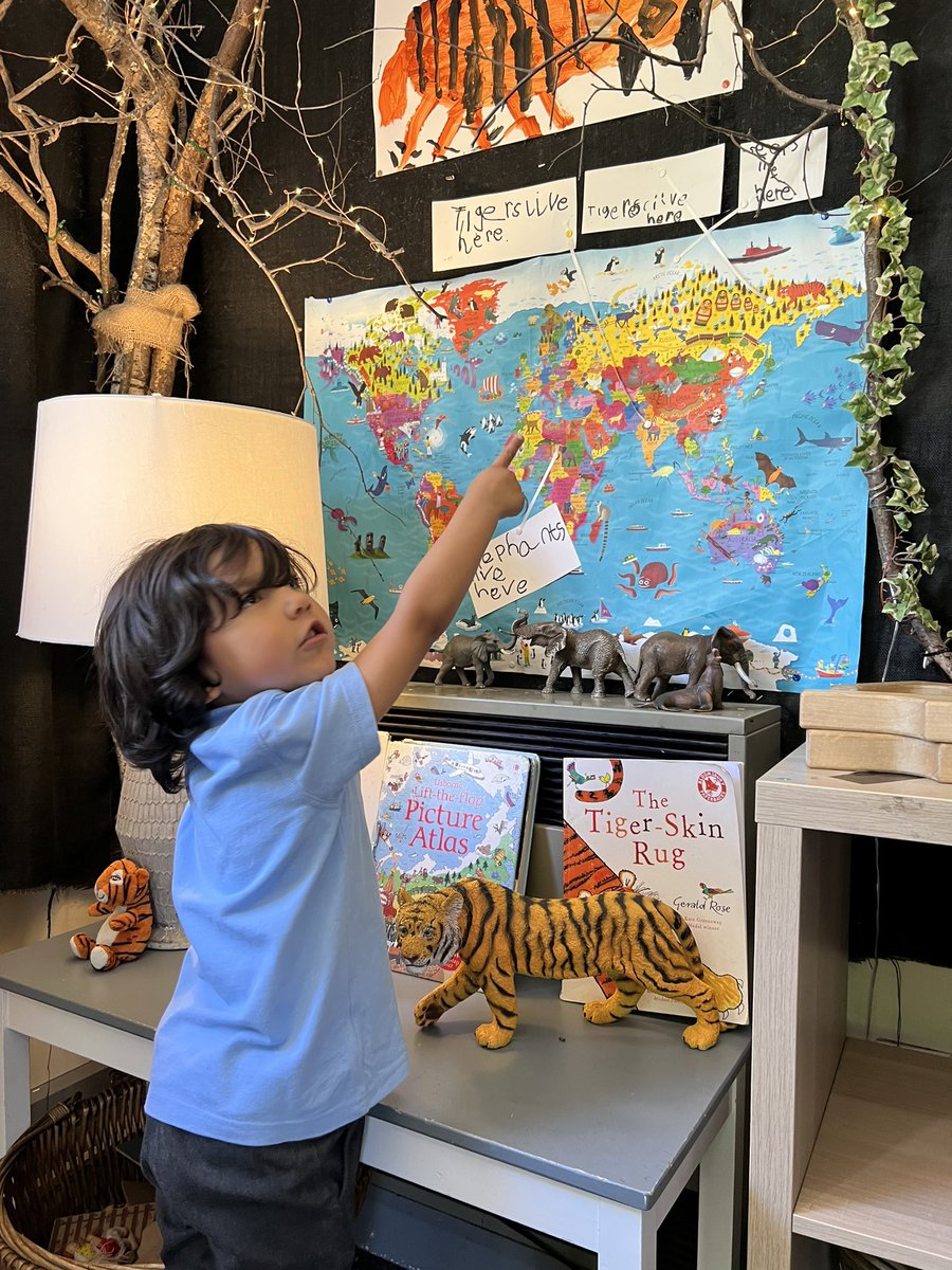sbps_ducklings's tweet photo. Where do tigers live? 🐅 #sbpsGeog #EYFS https://t.co/YjgRsW6Vk6