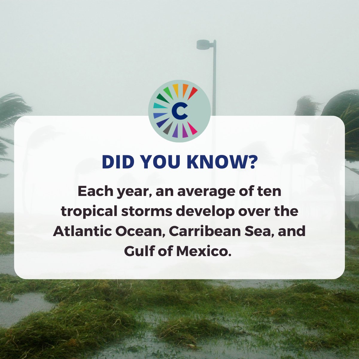 Collier CARES tweet media