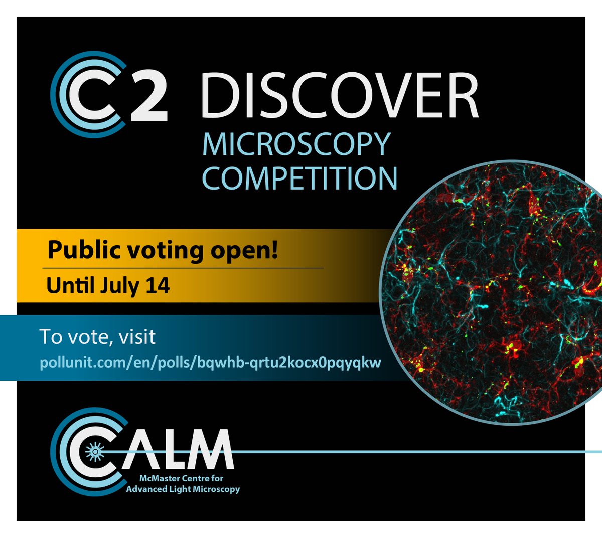 C2Discover Public vote is now open! This will account for 50% of the final rating. Go admire your colleagues' works of art and vote for the ones you like the most! pollunit.com/en/polls/bqwhb… VOTE, VOTE, VOTE...