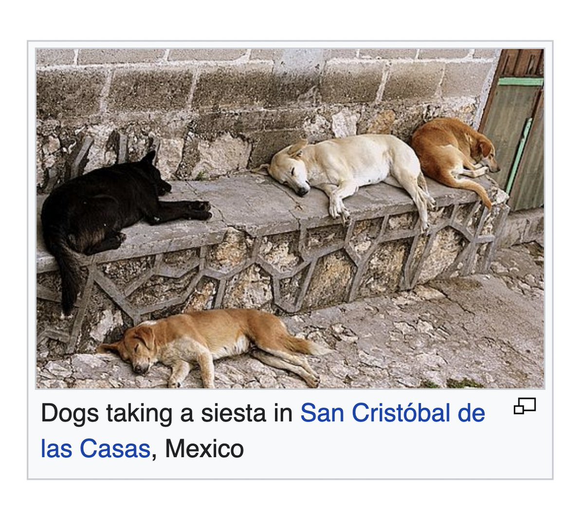 depths of wikipedia! (@depthsofwiki) on Twitter photo 