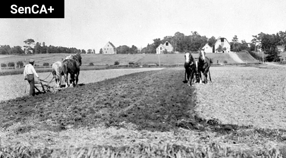 SenateCA's tweet photo. 150 years ago, Prince Edward Island became Canada’s seventh province. The “Birthplace of Confederation” took a pass in 1867, but a trio of long-simmering issues forced it to reconsider: https://t.co/PvQz6TG0Ua
#SenCA #CdnHist #PEIHistory https://t.co/Oots9fsZyl