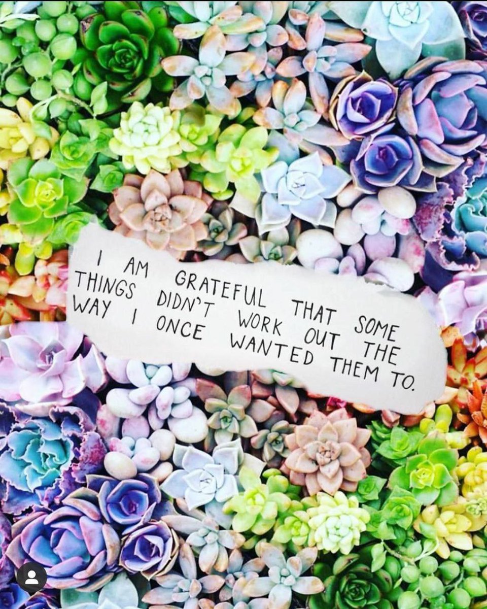 Being #Grateful ☺️ For Everything.
#positivethinking #gratitude