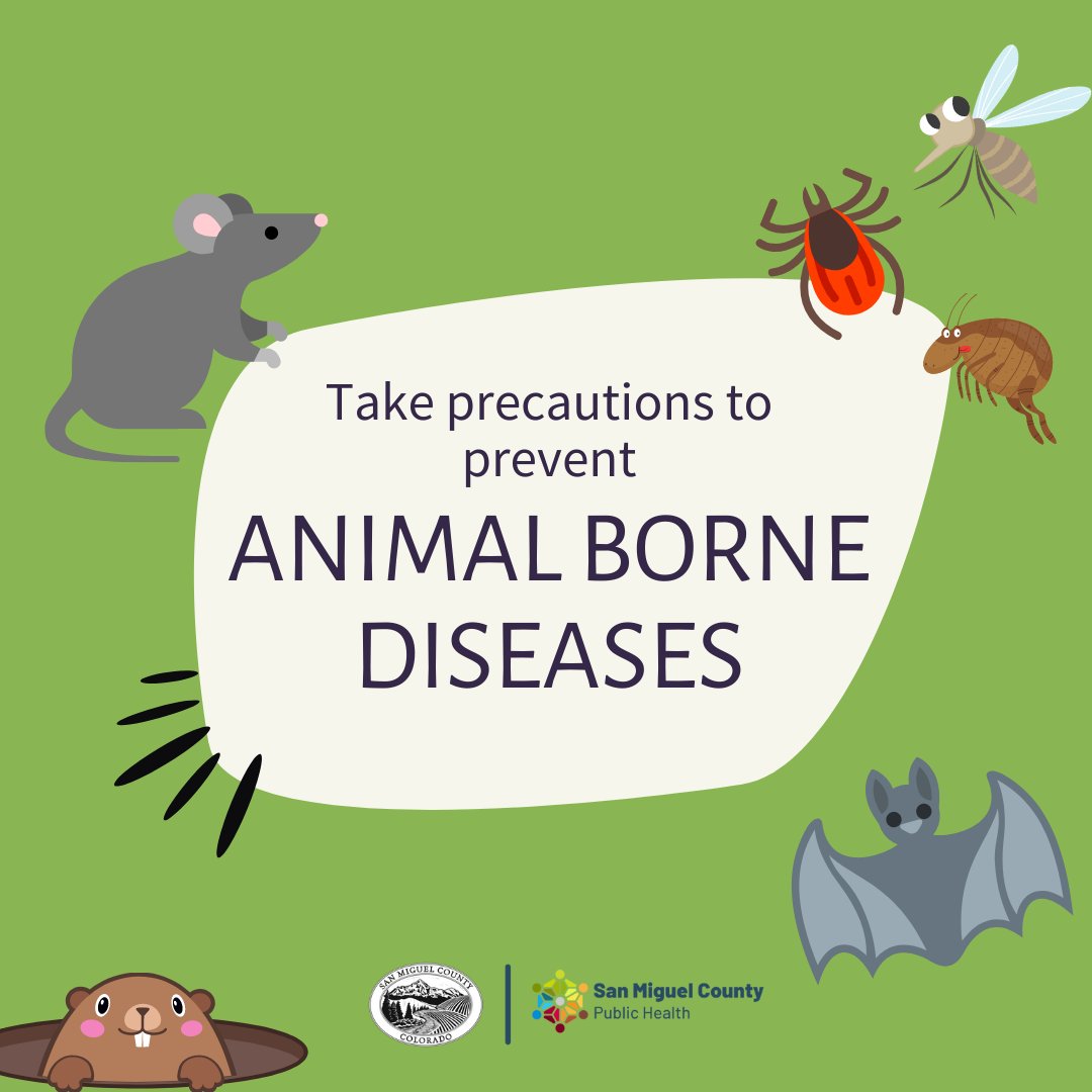 It's summer and we're outside. Here's some commonsense advice worth heeding when exploring the great outdoors!
Read all about animal-borne diseases and how to stay safe here: bit.ly/46sOrb6