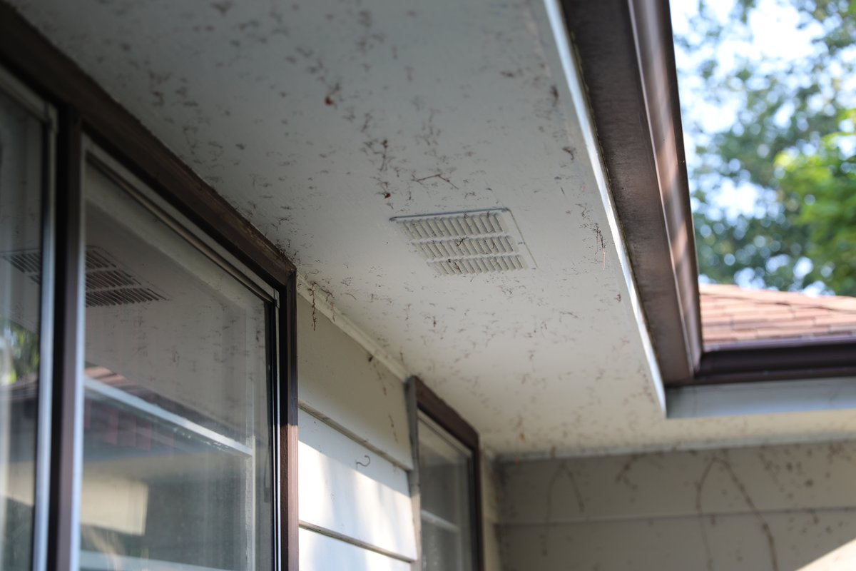 moldodorguykzoo's tweet photo. Want to keep MOLD OUT? Make sure your home is properly ventilated!
#FridayFacts #TheMoldGuy #BreakTheMold #MoldDetection #Mildew #HomeSanitization #BTMKzoo #Kalamazoo #GrandRapids #MoldRemediation #BlackMold #KalamazooMI #Michigan #Mold https://t.co/R5p6vtIU9T