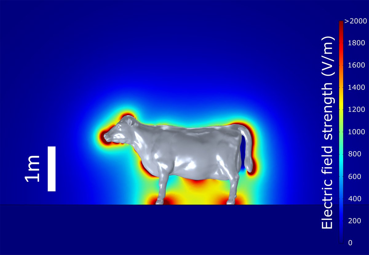 SamJakeEngland's tweet photo. So then we wanted to characterize the phenomenon a bit more formally - what would the electric field around a typical host of a tick look like? Enter the most ridiculous figure I have every created - the electrostatic profile of a cow🐮 https://t.co/9nhDEyCg3n