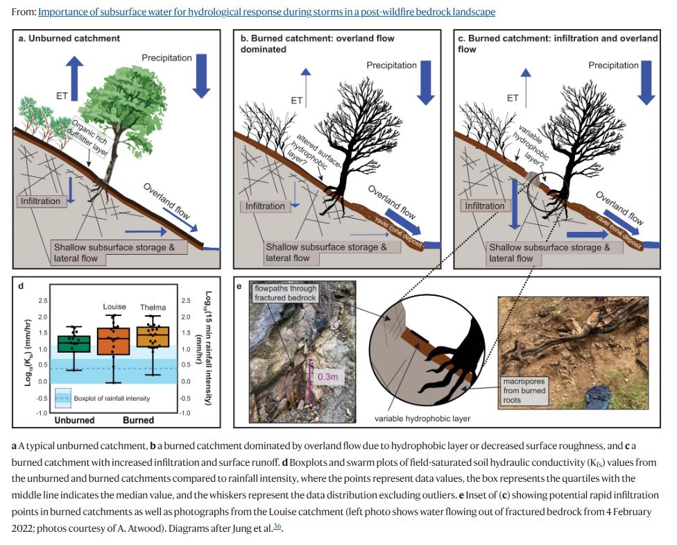 Thanks to hard days setting out electrode arrays on steep slopes and long, cold, wet, sleepless nights collecting stream water, Abra Atwood and Maddie Hille have revealed how raging streams and rivers after wildfires are more than meets the eye: nature.com/articles/s4146…