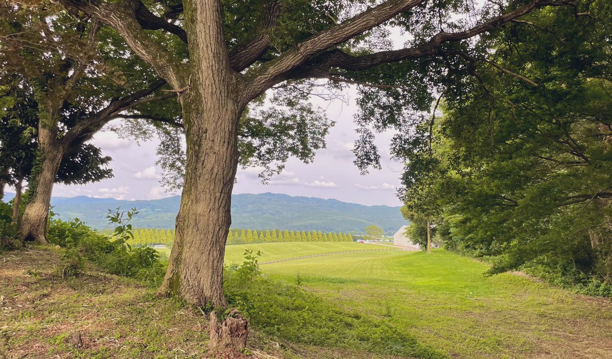 うちの家族の土地(ほぼ使って無かった)で、従兄弟が農業を始めたのでお手伝いしに🥺

従兄弟は仕事を退職して１から農業スタート😳
本当凄いなぁ😳😳😳

隣は
紗栄子の那須ファームビレッジ🤣笑 https://t.co/pZbFw37Eok