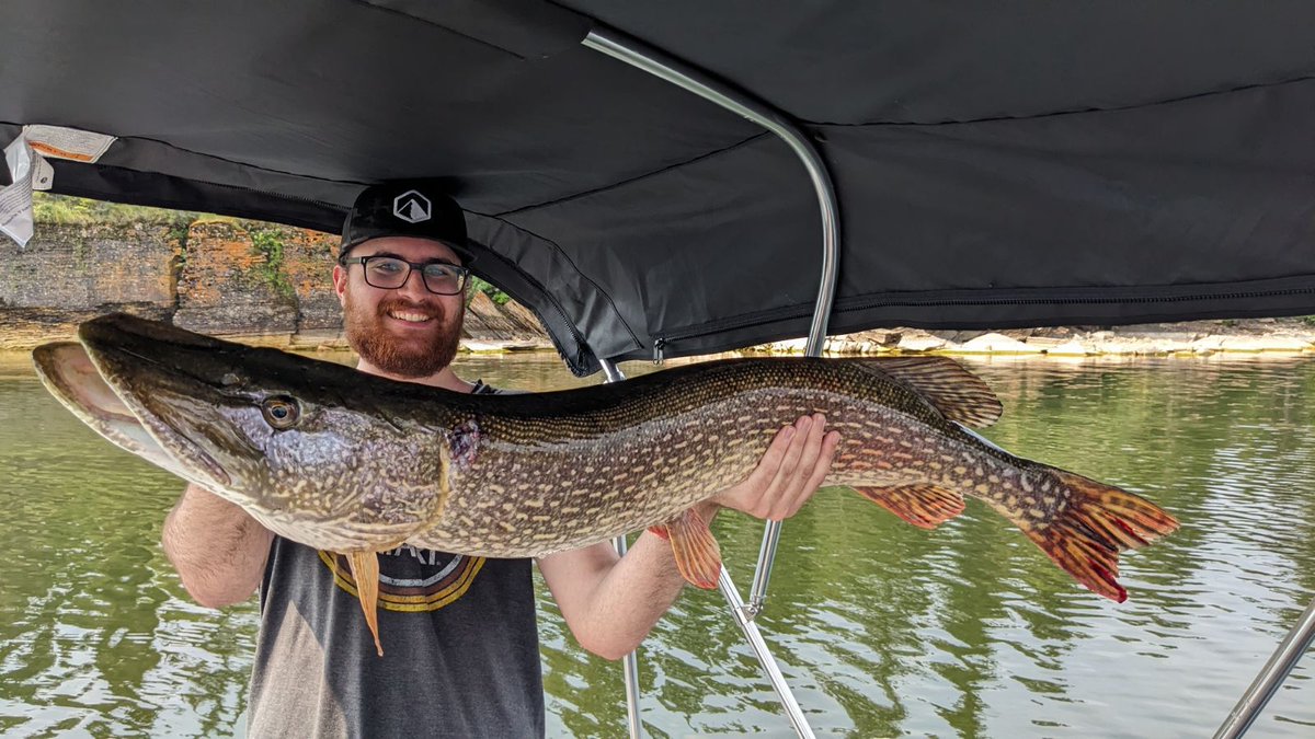 Ahady🇨🇦 tweet media