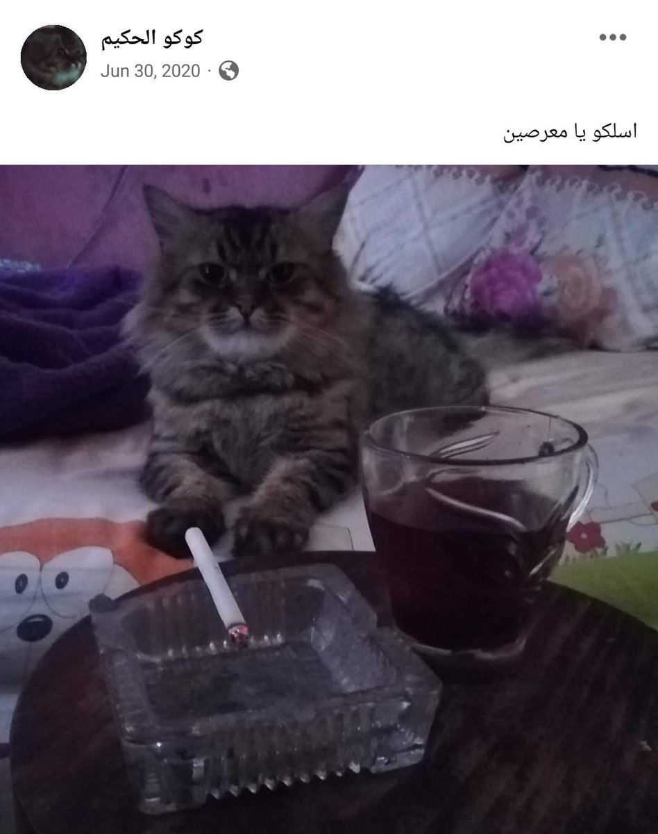 أحمد (@11zeon11) on Twitter photo 