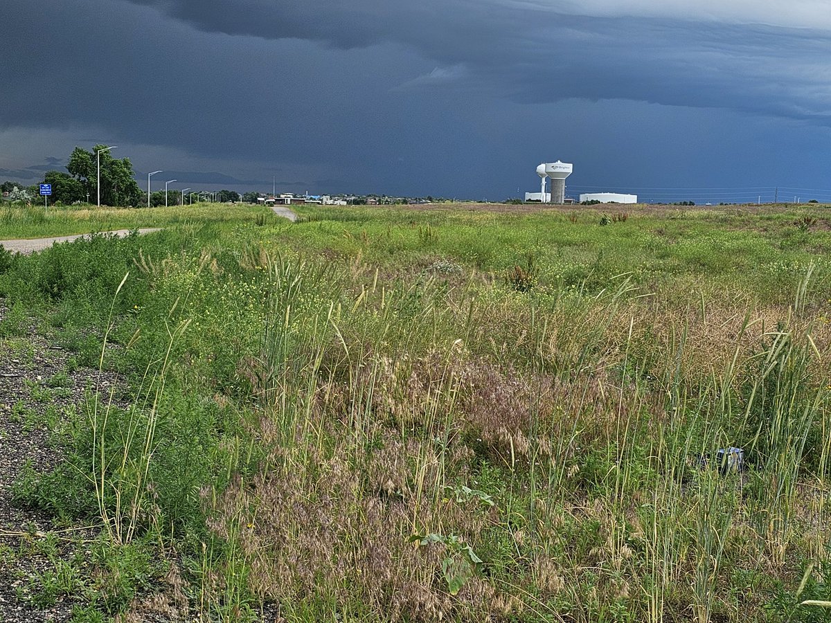 Watching the storm roll into Brighton. #cowx
