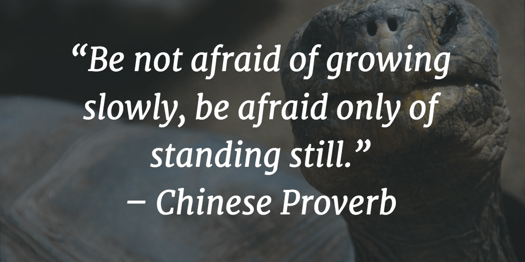 BryantCPA's tweet photo. Be not afraid of growing slowly, be afraid only of standing still. #FridayFeeling #FridayThoughts #GrowingSlowly #StandingStill #Afraid #Fear https://t.co/mQM5eRYfD3
