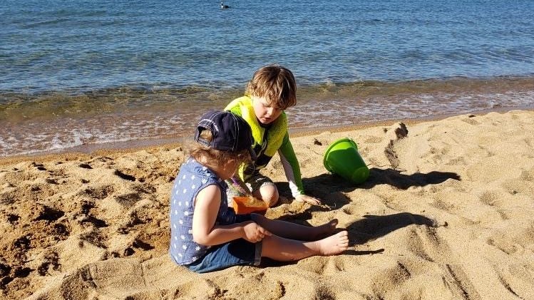 CaWaterBoards's tweet image. The Water Boards wishes you a 🇺🇸happy 4th of July 🇺🇸 holiday weekend! Visit our harmful algal bloom guide about recreating safely in California’s waterways &amp;amp; our web map for where harmful algal blooms have been reported:
Guide: bit.ly/44jecIW
Map: bit.ly/44qrQKi