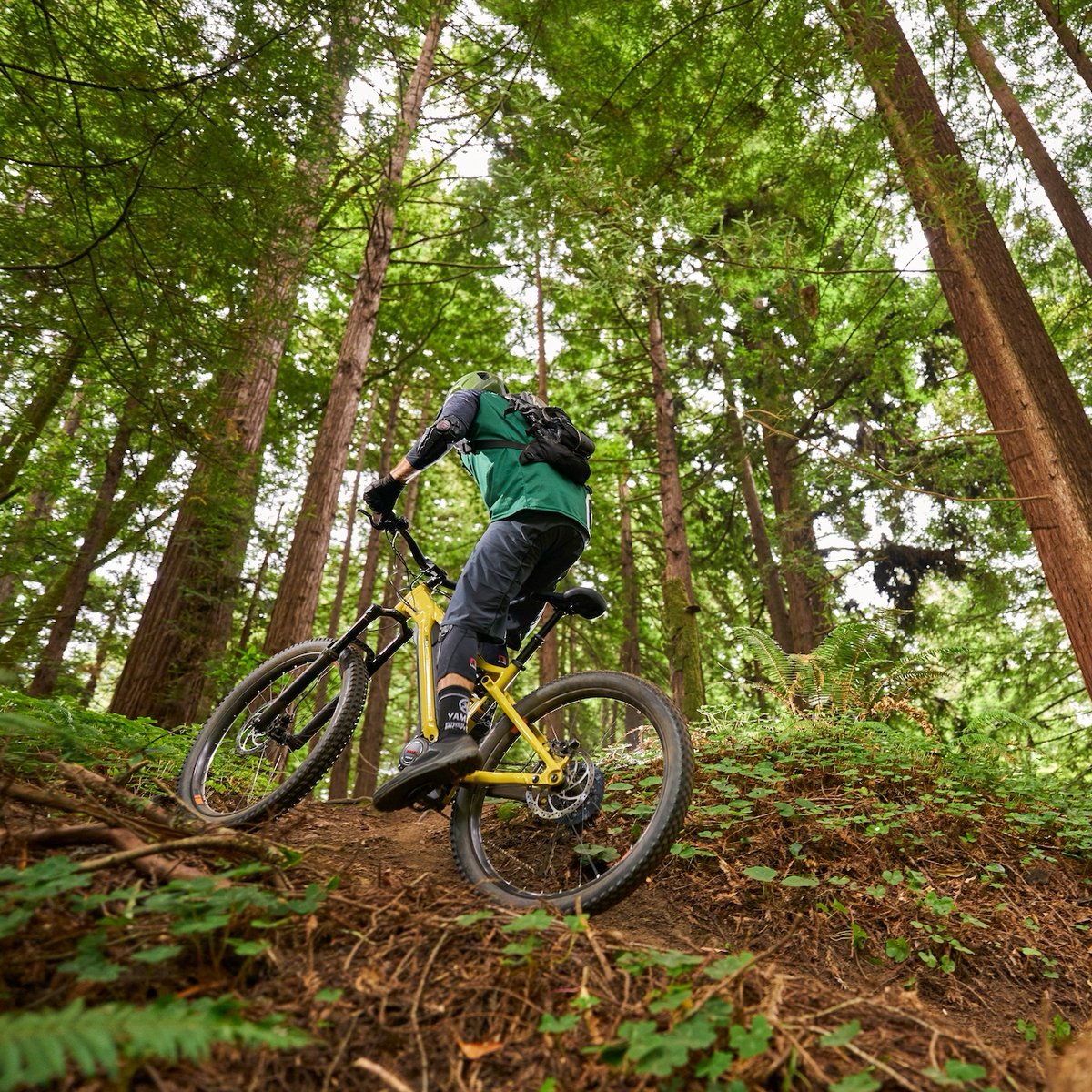 yamahabicycles's tweet image. Bring on the inclines! #UphillThrills

#eBikeFun #YDXMORO #YamahaBicycles