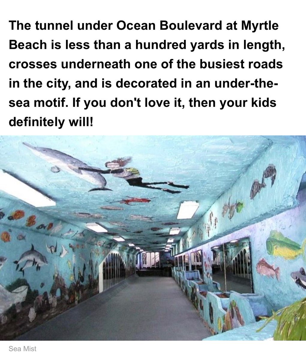 maximumfunkage's tweet image. I can’t stop laughing at the fact my bff earnestly thought this tunnel from Myrtle Beach, S.C. was the one Lana was singing about.