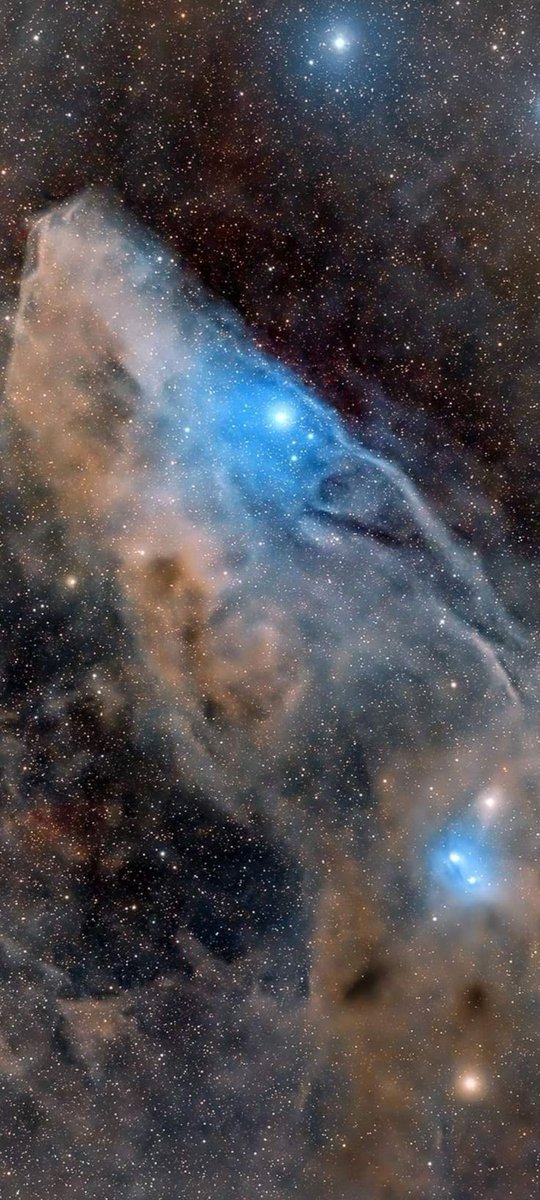 IC4592 Blue Horsehead Nebula in Scorpius constellation wallpaper 📷 Pinterest