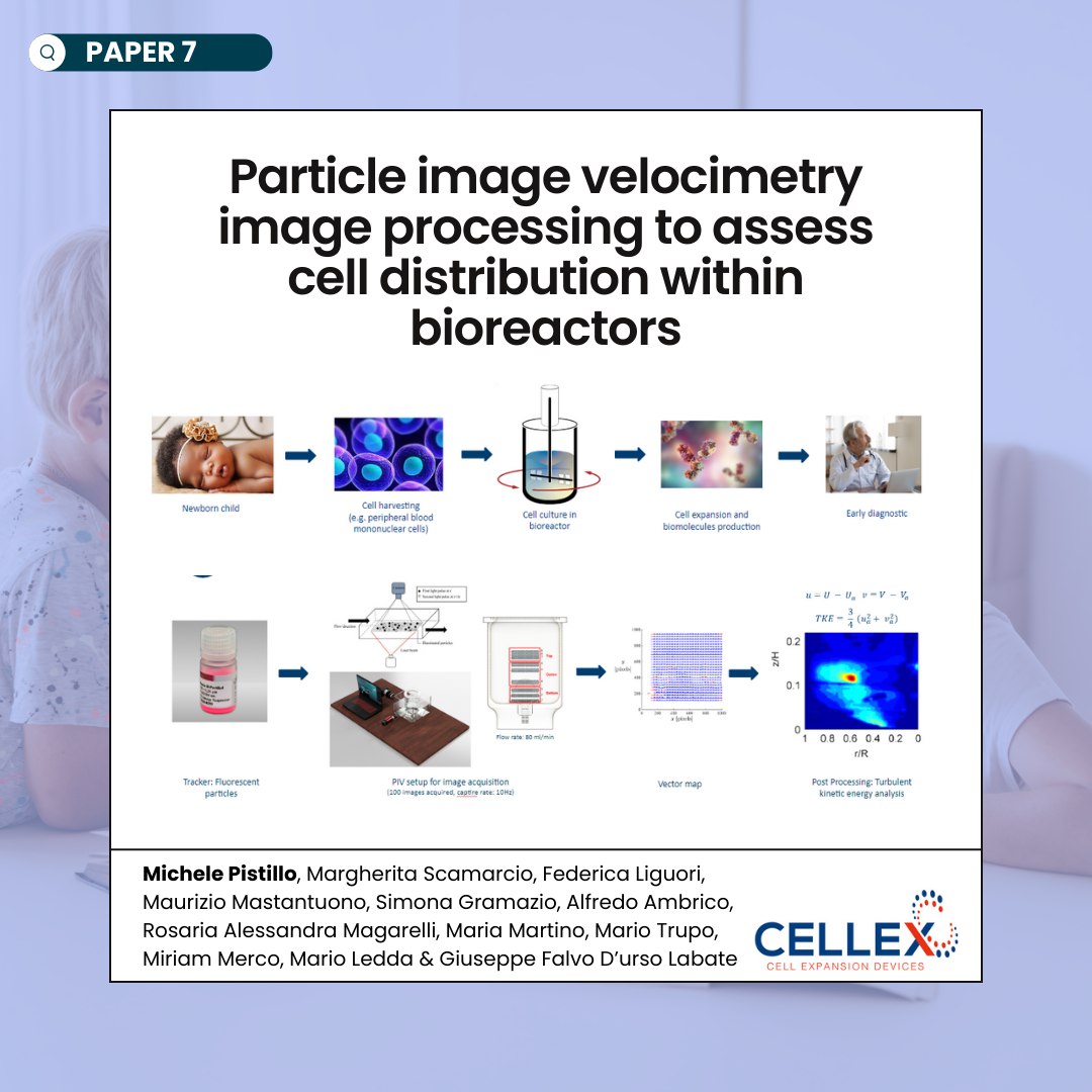 @CrottiMonica 7⃣Particle image velocimetry image processing to assess cell distribution within bioreactors - Michele Pistillo