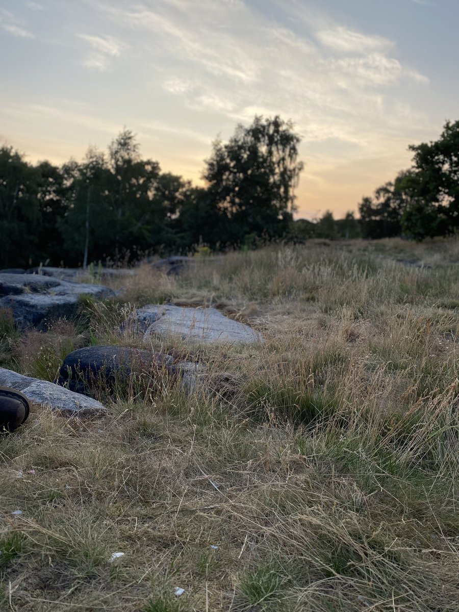 HistoryKate_'s tweet photo. ��The evening sun was sinking down  
On low green hills and clustered trees
It was a scene as fair and lone
As ever felt the soothing breeze” https://t.co/k21p31unCS