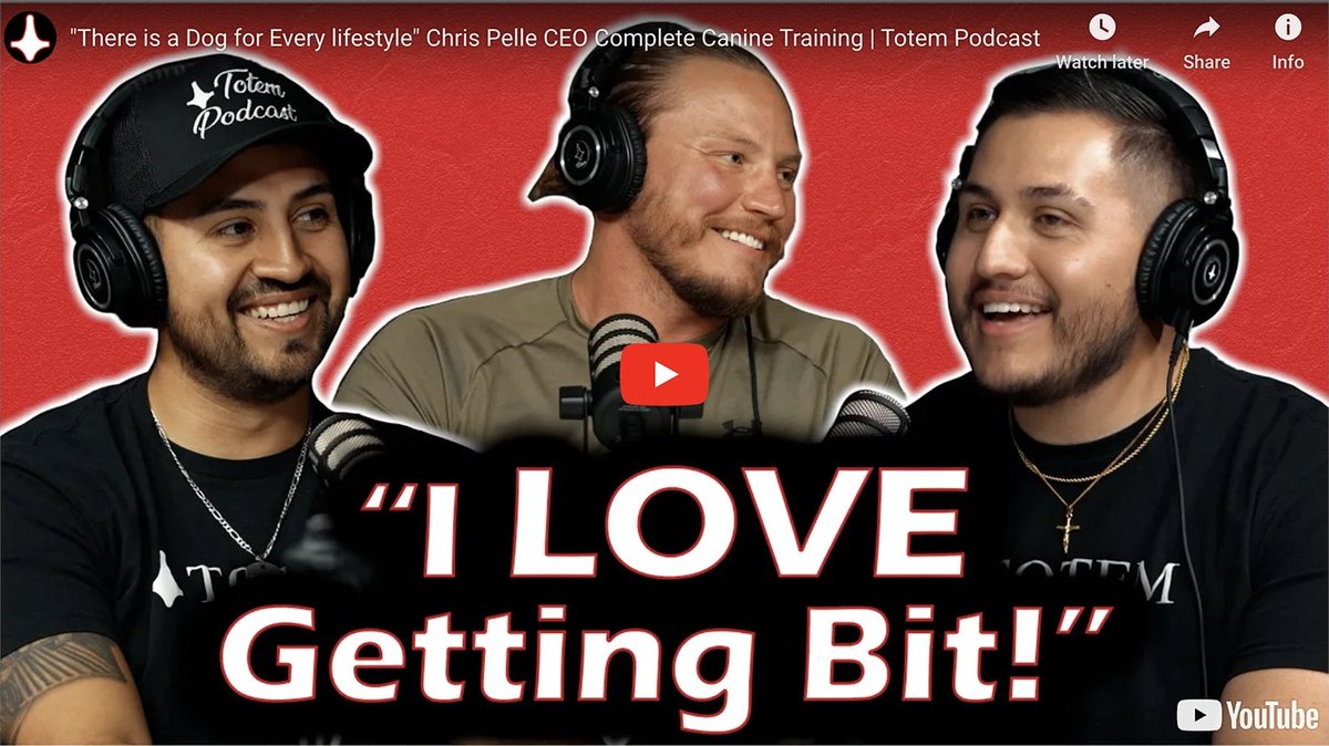 Totem Podcast with CEO Chris Pelle dlvr.it/SrTZN8