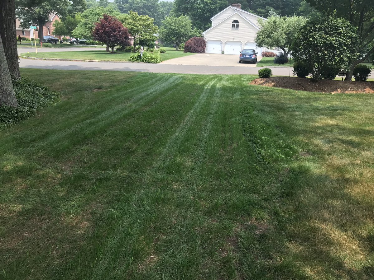 RobertBigman3's tweet photo. New grass got its first cut today and Whoa. I grew grass!! Cheers 🥂❤️ #OurMickeyPool https://t.co/qJz8RNkYMC