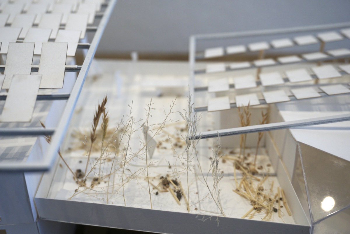 Revealing Mariah Hoffman’s final model for ARC 502 Studio 2 led by Prof Jose Amaya with accompanying representation component by Dean Stephanie Lin.