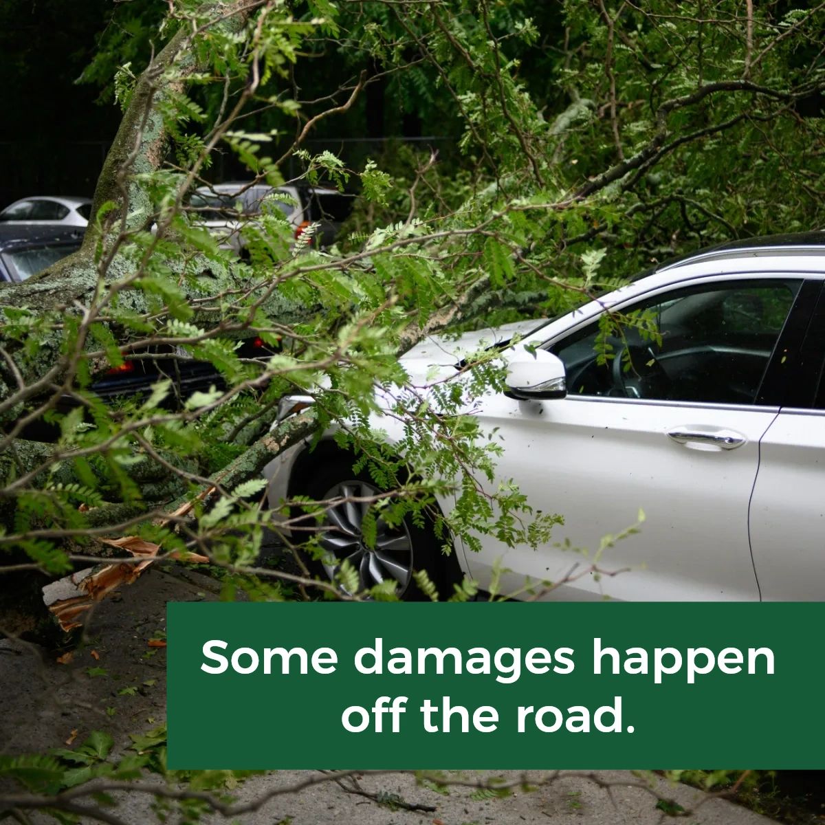 vmscollision's tweet image. Sometimes accidents happen without leaving your parking spot. What's the worst damage Mother Nature has ever done to your vehicle?
