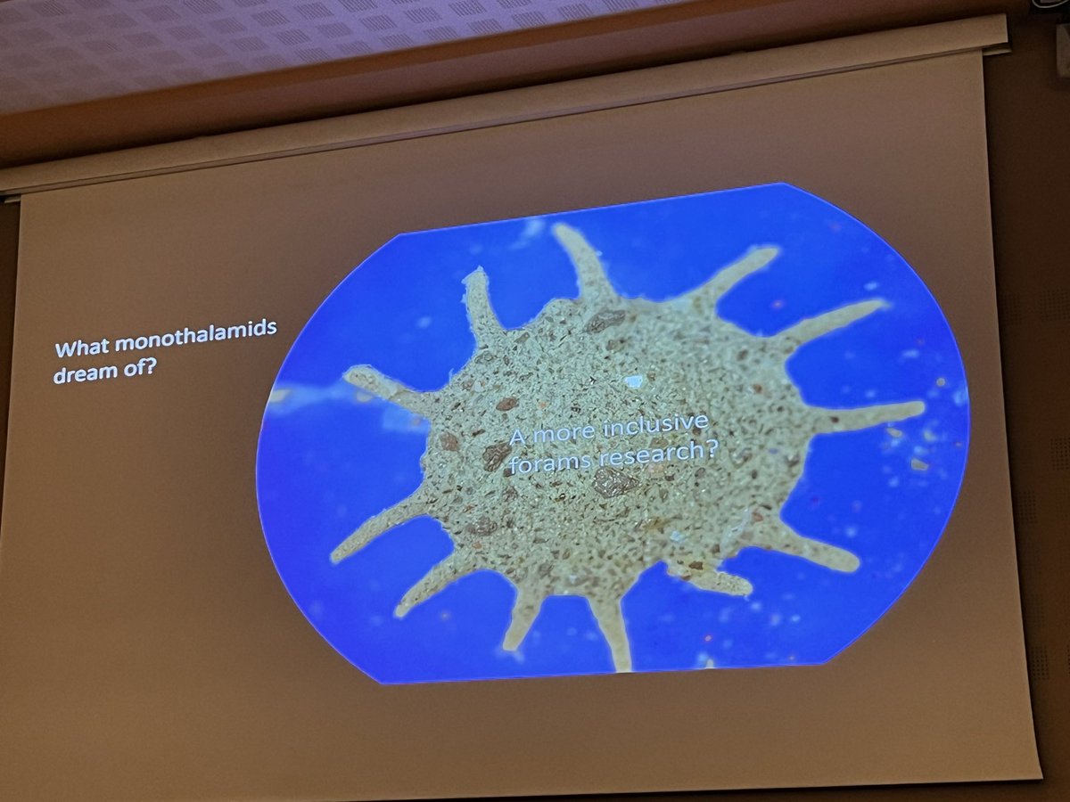 What monothalamids dream of? Inclusivity! A great talk by Jan Pawłowski🦠 #FORAMS2023 #FORAMS23 #ForamFriday